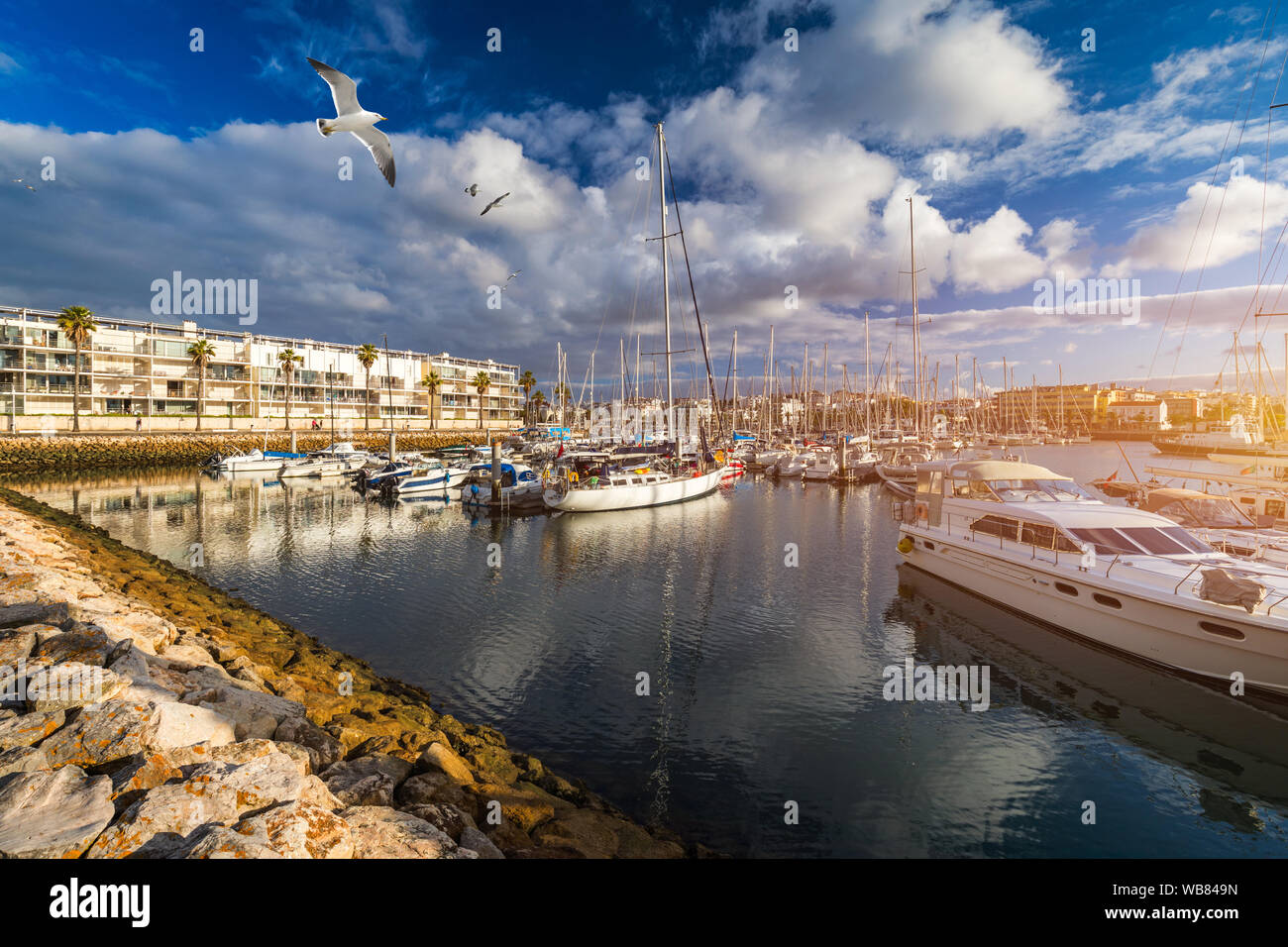 Moored fishing boats in the harbor at sunset with flying seagulls over the boats, Lagos, The Algarve, Portugal. Yachts moored in the marina, Lagos, Al Stock Photo