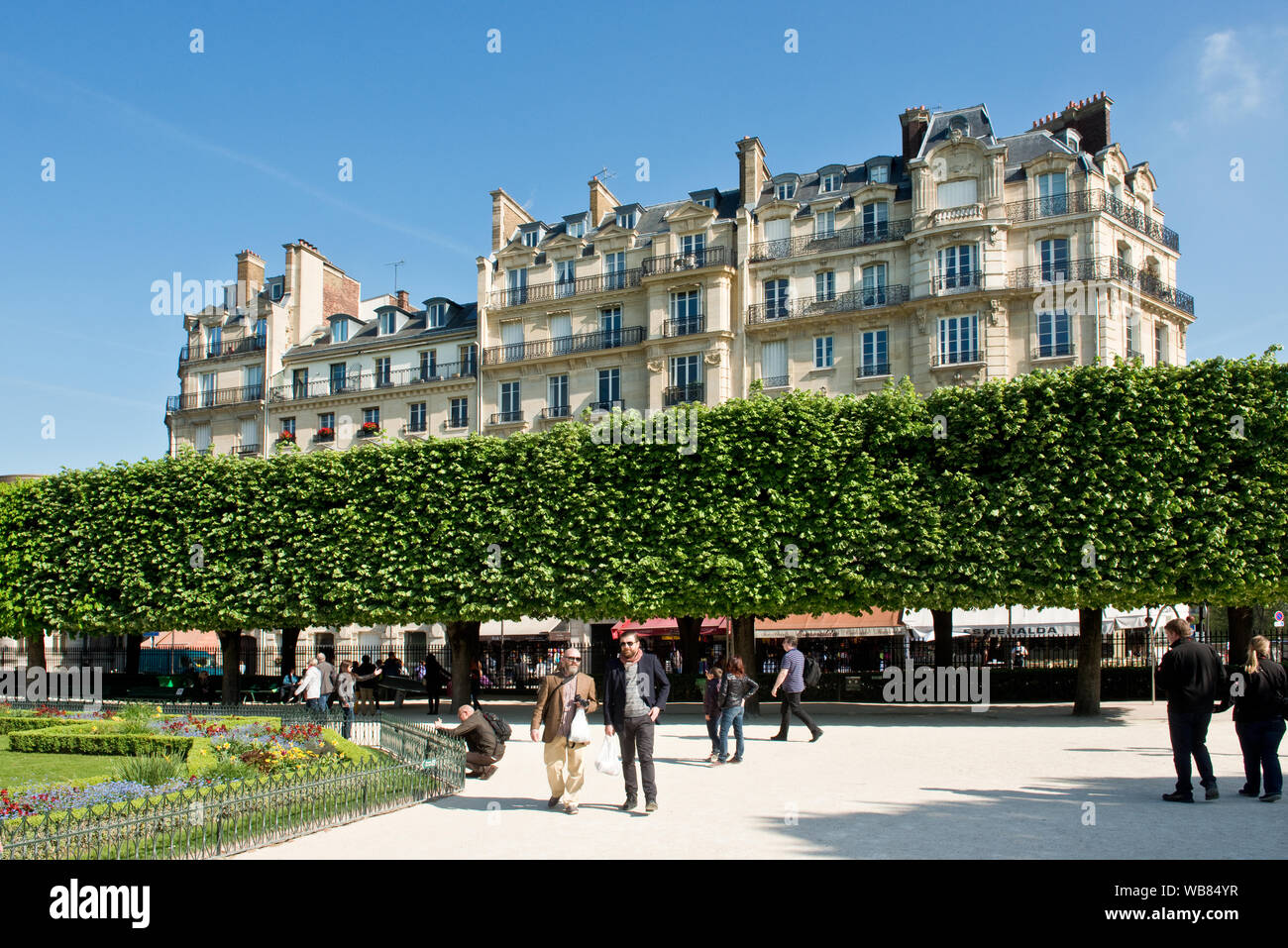 Manicured trees of Square Jean XXIII behind Notre-Dame Cathedral, Paris, France Stock Photo