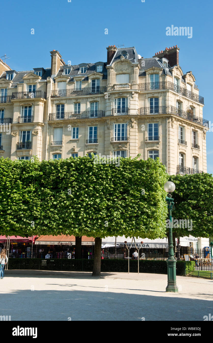 Manicured trees of Square Jean XXIII behind Notre-Dame Cathedral, Paris, France Stock Photo