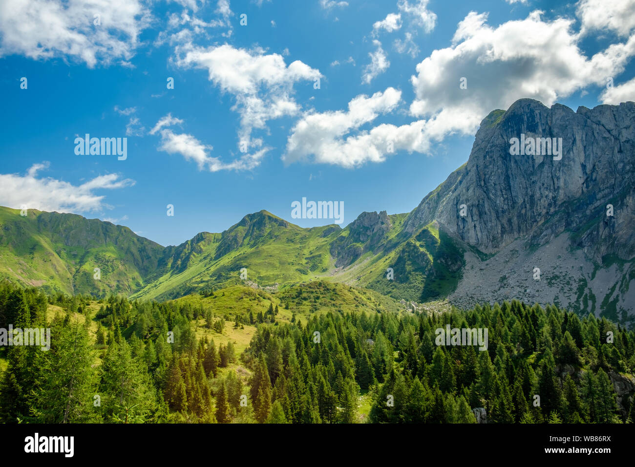 Summer day in the alps of Friuli Venezia-Giulia, Italy Stock Photo - Alamy