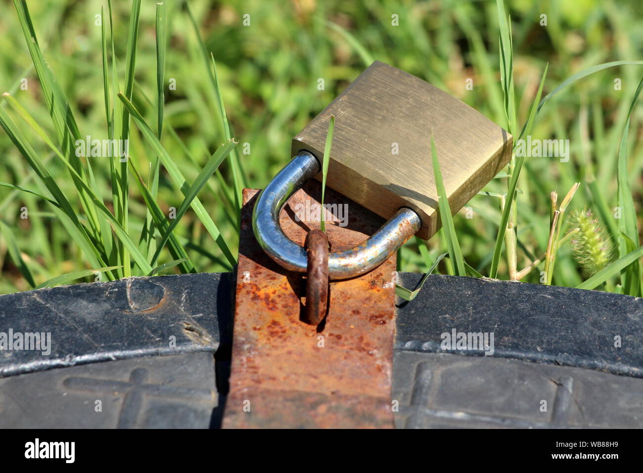 Metal manhole cover locked with rusted latch and strong new padlock surrounded with uncut green grass in local urban garden on warm sunny summer day Stock Photo