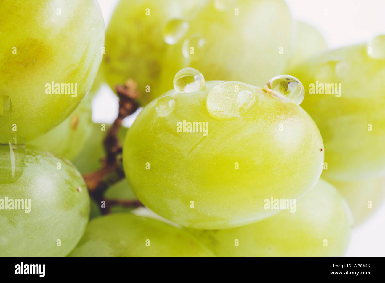 Closeup shot bunch juicy grapes hi-res stock photography and images - Alamy