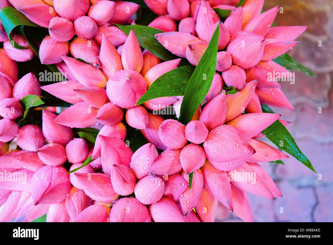Bunch of pink lotus flowers in a market in Ho Chi Minh city in Vietnam