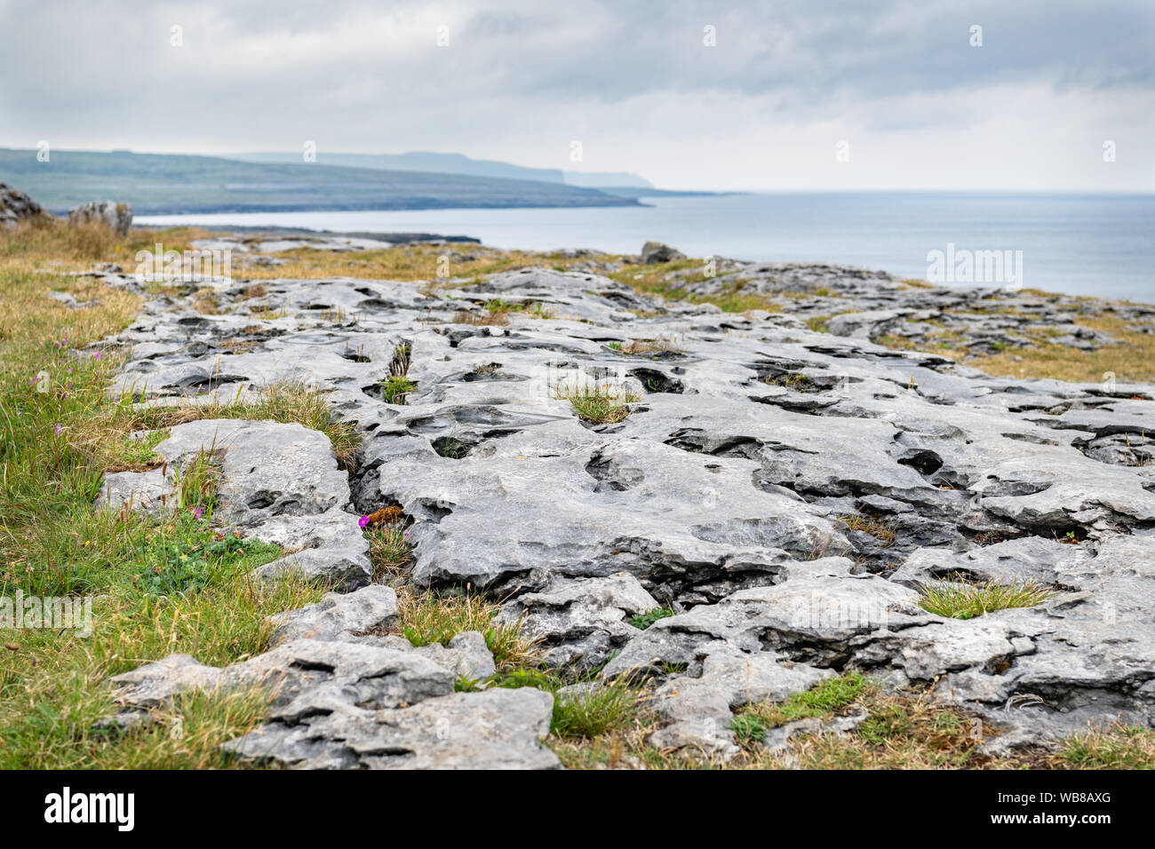 Indicated — Poulbaun (burren By.)