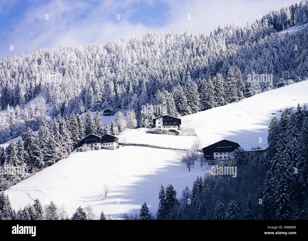 Scenery with snowy winter landscape of Apls at Mayrhofen in Zillertal valley near Innsbruck in Austria. Cottage houses and Forest with snow view at Al Stock Photo