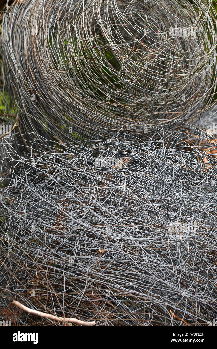 Wire fence, forest fencing mesh, coils Stock Photo Alamy