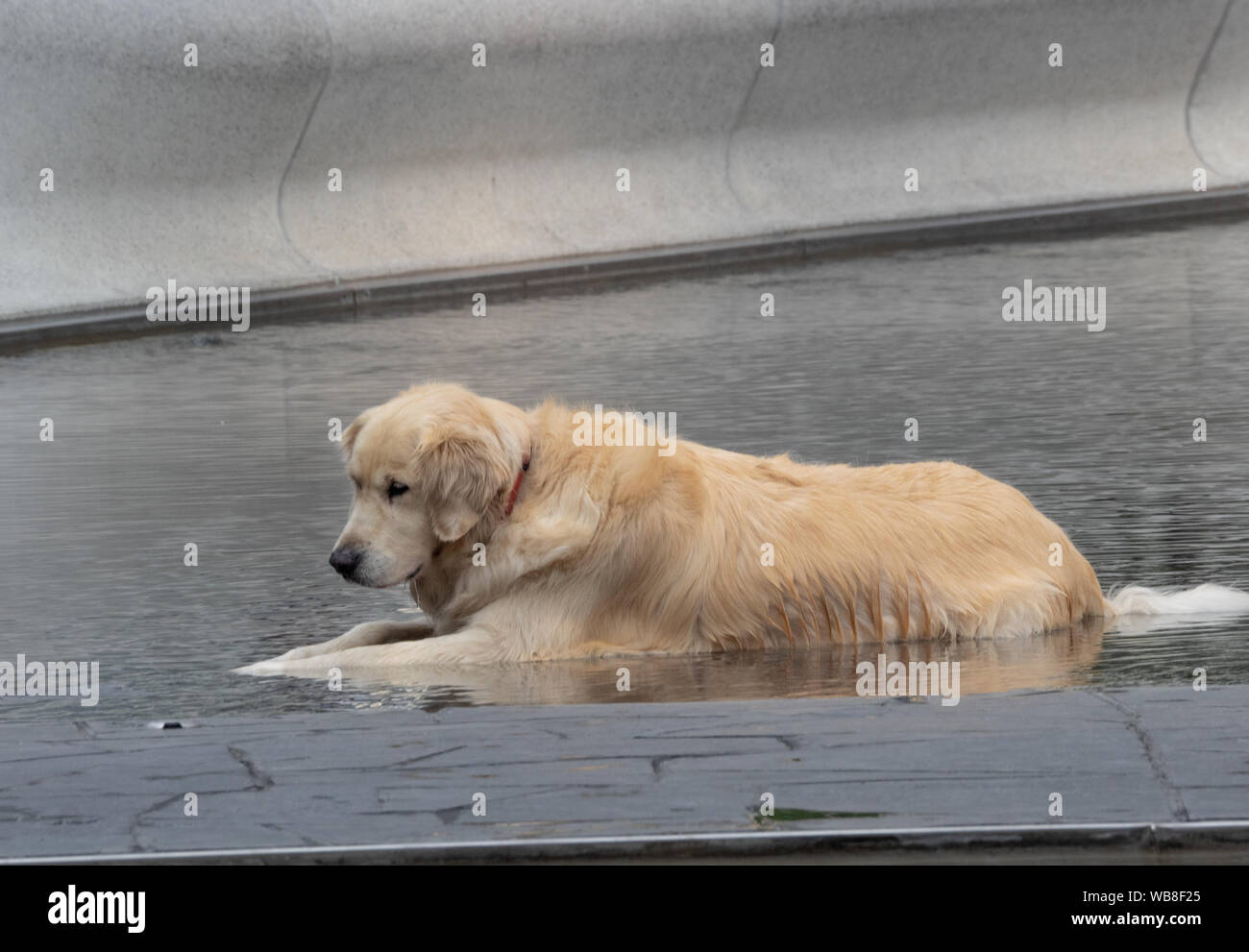 Golden fountain hires stock photography and images Alamy