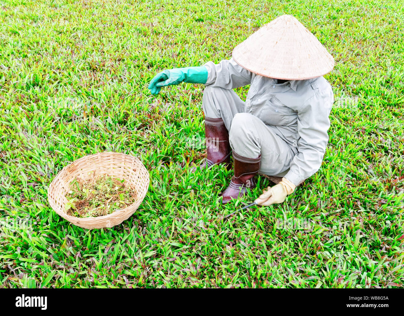 rice field worker hat