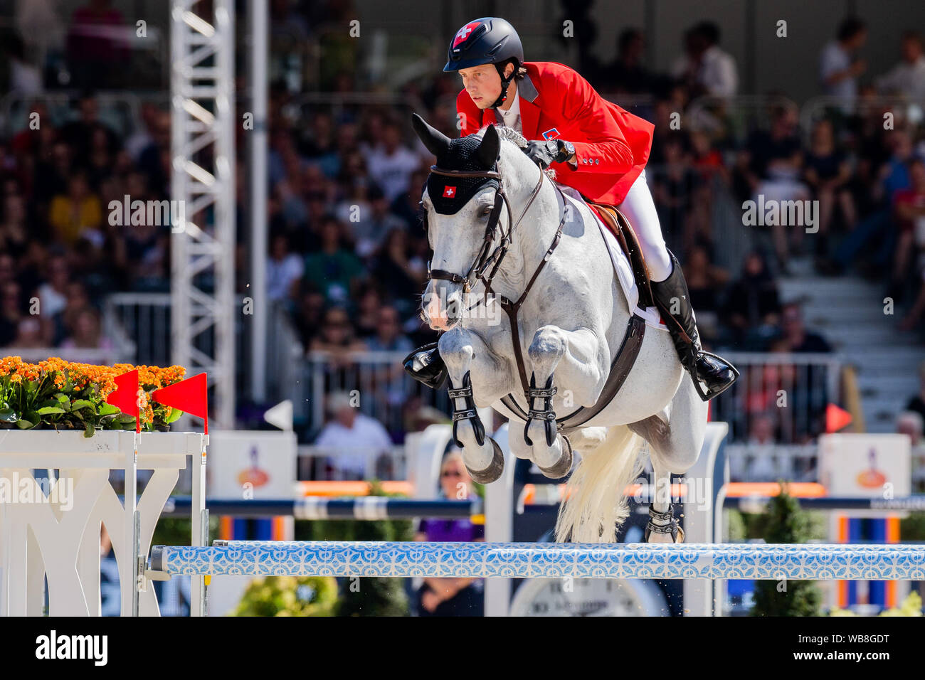 Rotterdam, Netherlands. 25th Aug, 2019. European Championships, equestrian sport, jumping, finals, singles: The rider Martin Fuchs from Switzerland on the horse Clooney jumps over an obstacle. Credit: Rolf Vennenbernd/dpa/Alamy Live News Stock Photo