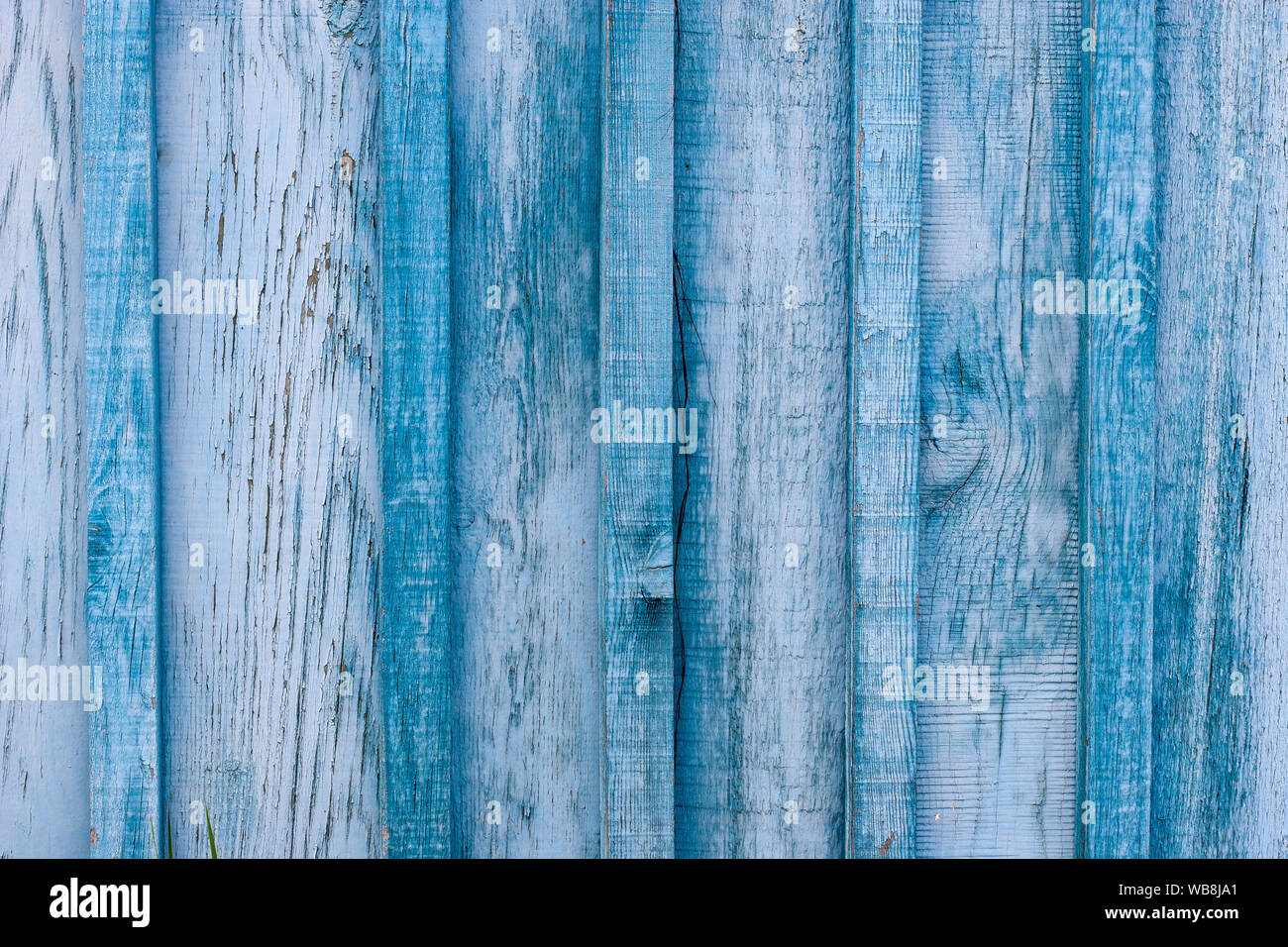Grunge background. Wooden old blue fence. The gaps between the boards are clogged with slats. The paint is peeling and cracked. Stock Photo