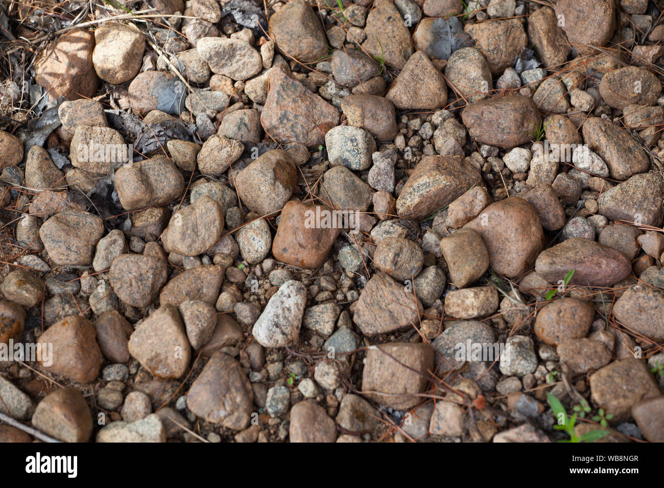 Pebble Texture for Backgrounds or backdrop Stock Photo - Alamy