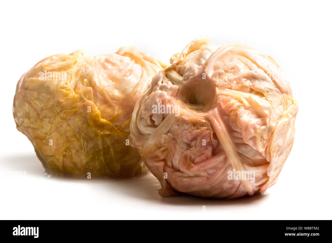 Sliced sour cabbage isolated on white background Stock Photo