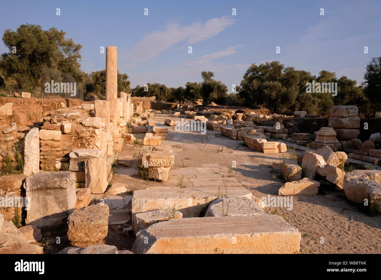 Nysa, one of the most important cities of Caria in Hellenistic and Roman period, is located on the highway connecting Aydin. Stock Photo