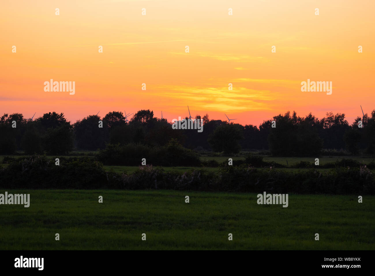 A threatening  sunset behind some trees at a field Stock Photo