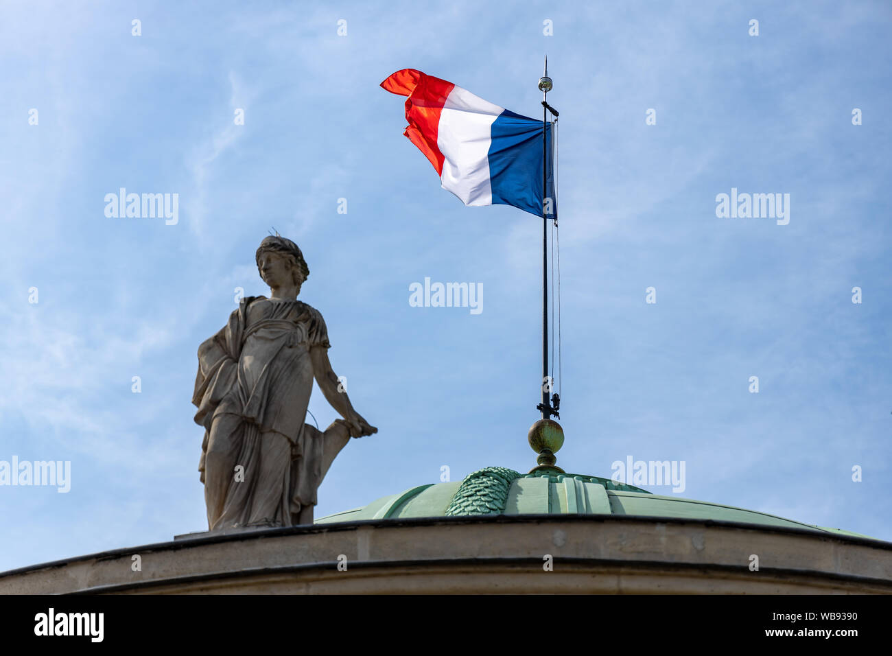 DRAPEAU DE TABLE PRINCIPAUTÉ DE SALM-SALM 21x14cm - PETIT DRAPEAUX DE
