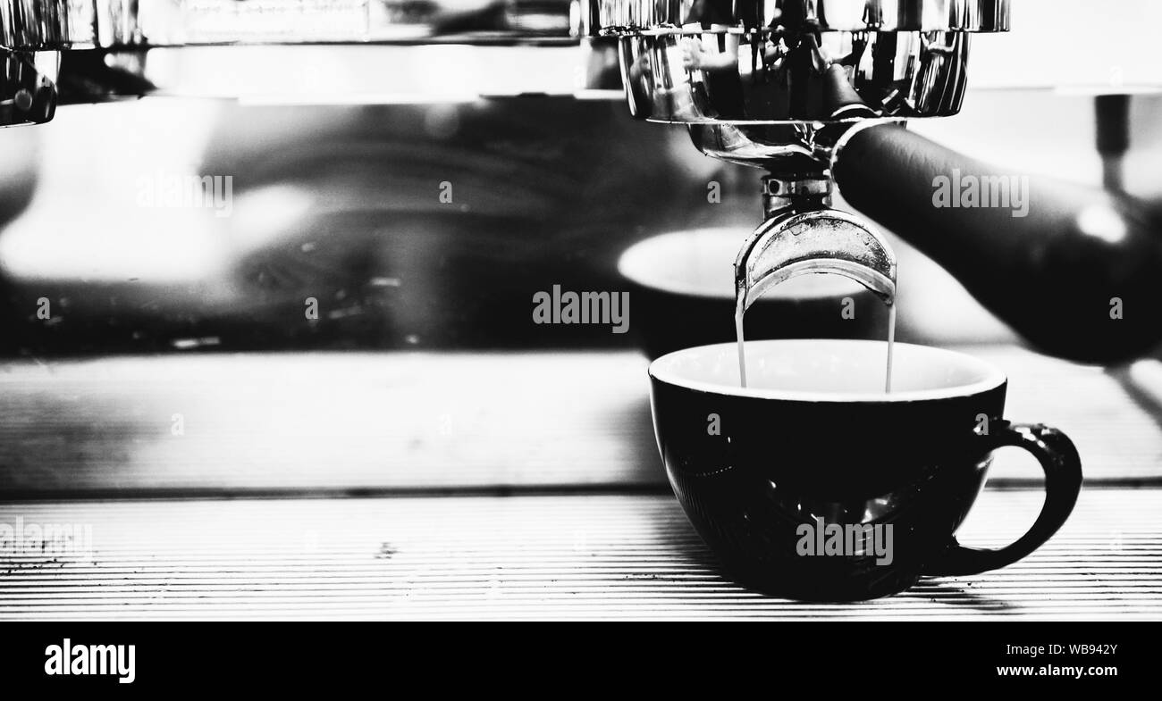 https://c8.alamy.com/comp/WB942Y/espresso-machine-brewing-a-coffee-coffee-pouring-into-glasses-in-coffee-shop-espresso-pouring-from-coffee-machine-WB942Y.jpg
