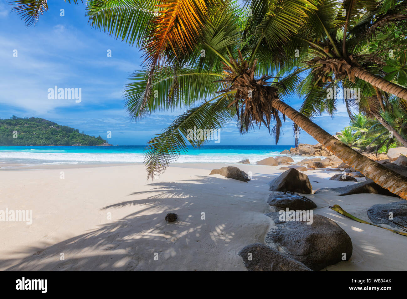Jamaica island people hi-res stock photography and images - Page 3 - Alamy, image size:1300x956