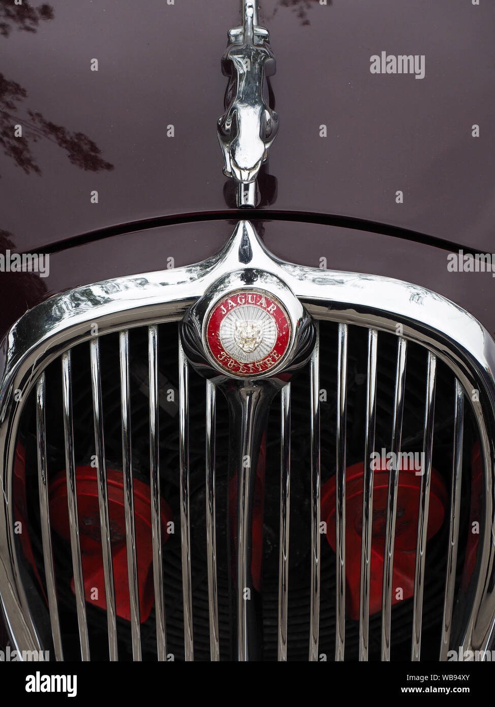 Hood ornament of a Jaguar classic sedan at the 6th Exhibition of
