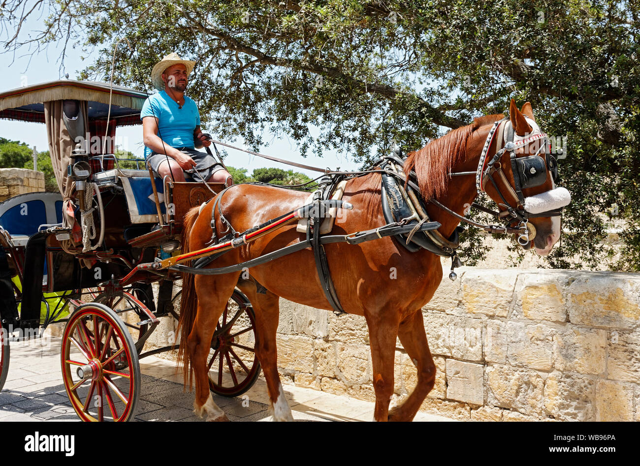 Horse pulling carriage hires stock photography and images Alamy