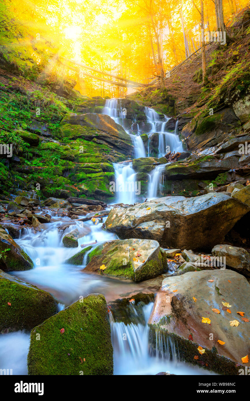 Autumn fall mountain waterfall stream in the rocks with colorful fallen ...