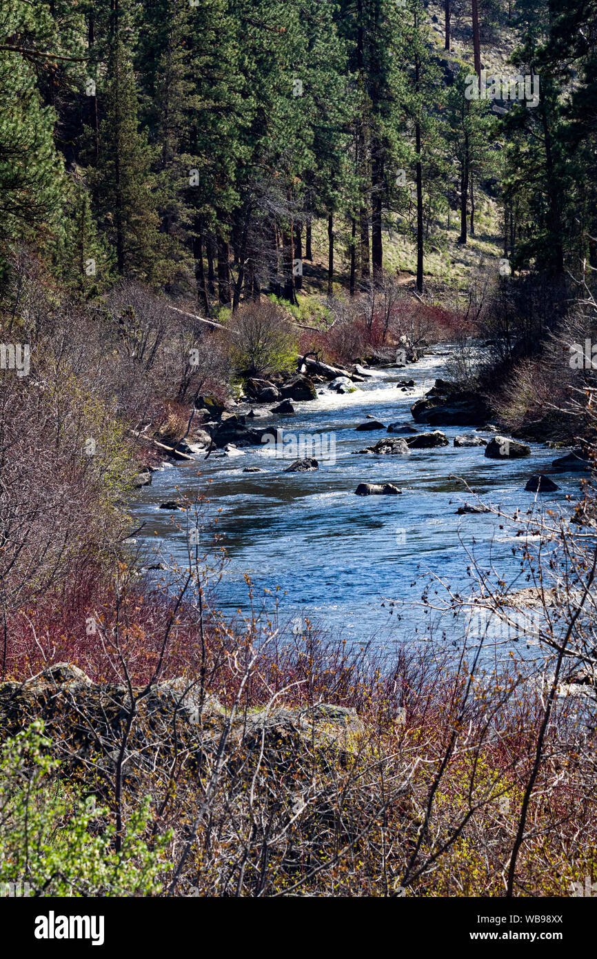 Deschutes river state park hires stock photography and images Alamy