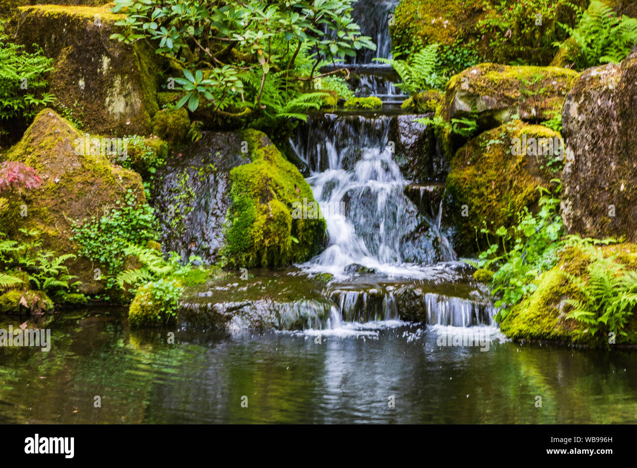 Waterfall japanese garden foliage hires stock photography and images