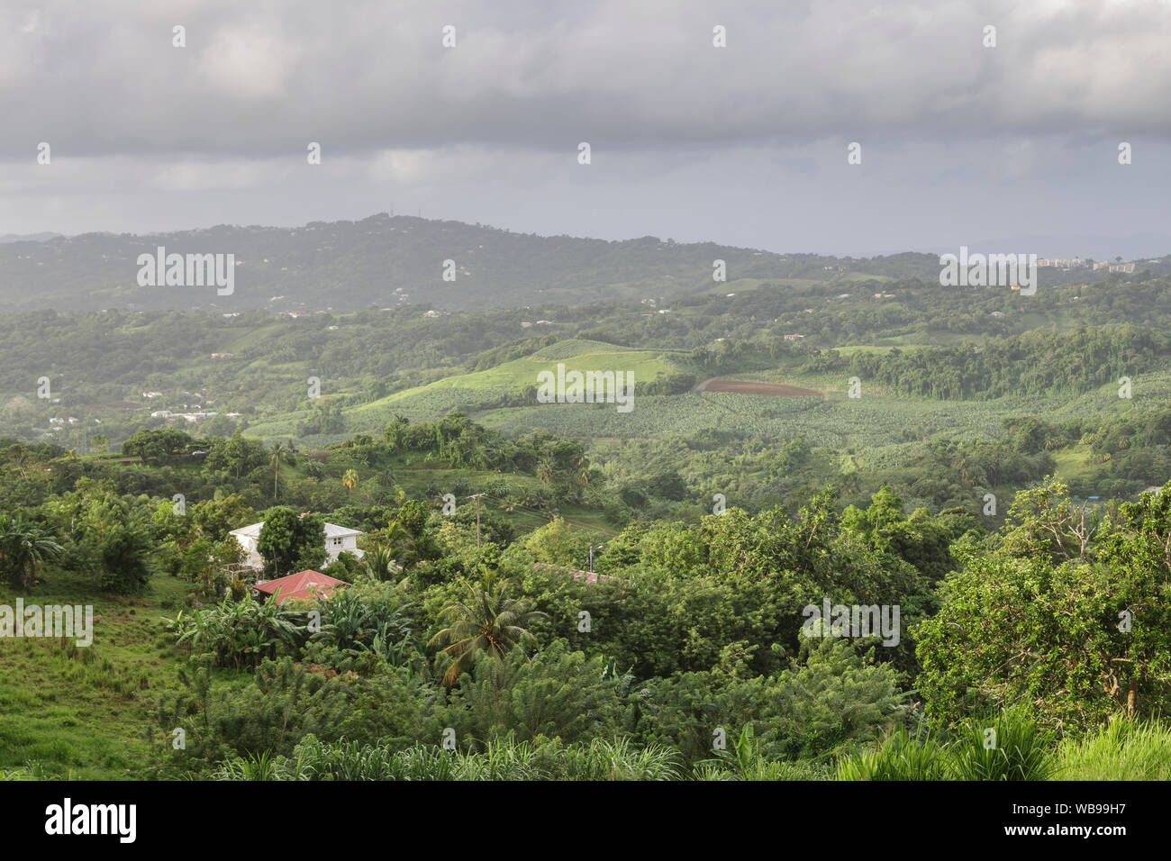 The island of Martinique Stock Photo Alamy