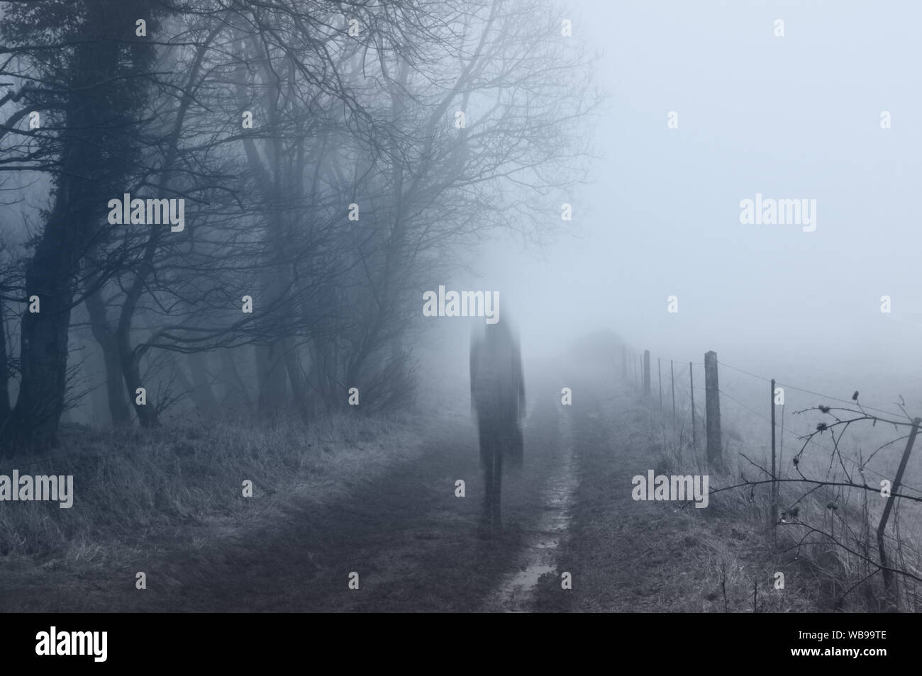 A ghostly woman walking along a country path on a spooky misty winters day. With a cold, blue edit. Stock Photo