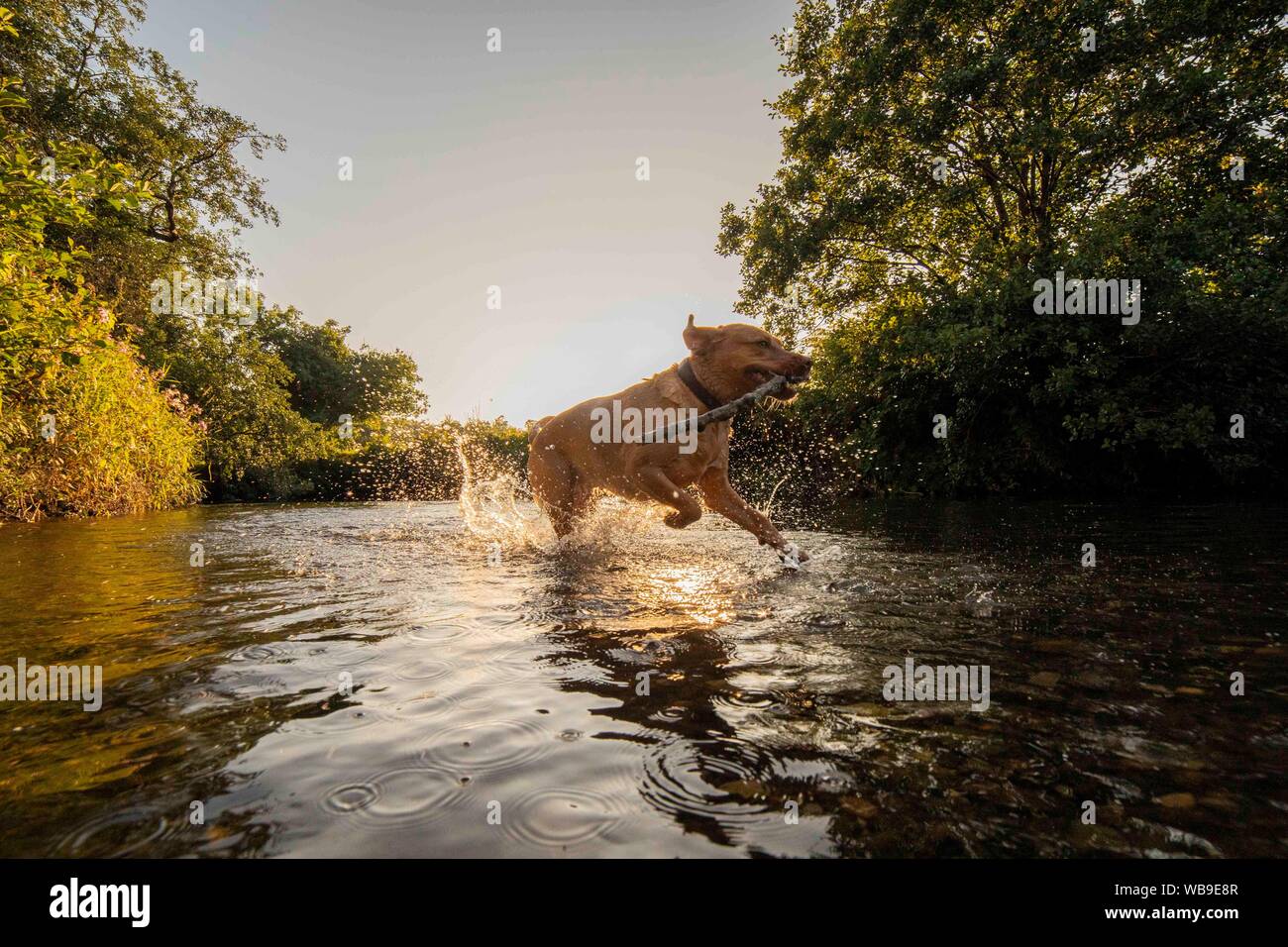 Late August Bank Holiday Stock Photos Late August Bank Holiday