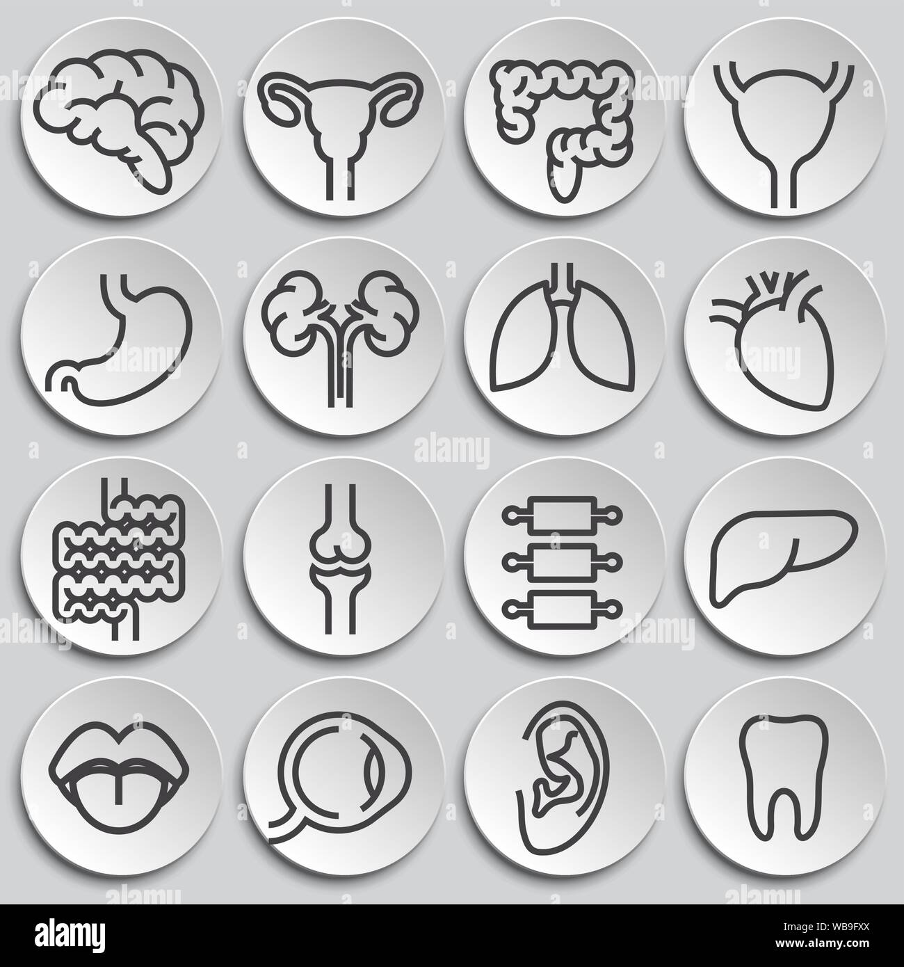 Human organs related icons set on background for graphic and web design ...