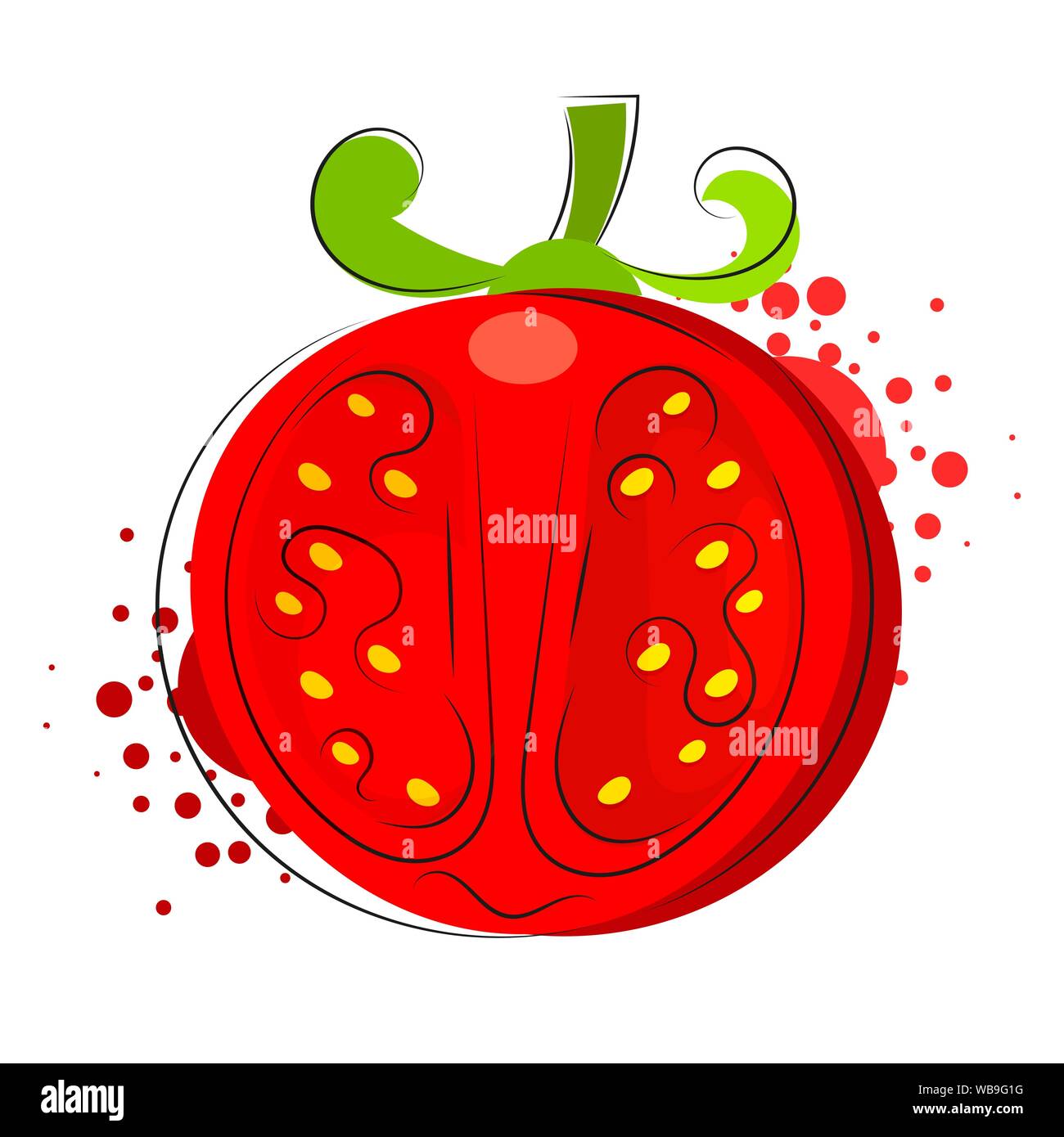 Vector Red Fresh Cut Tomato Close up Isolated on White Background Stock ...