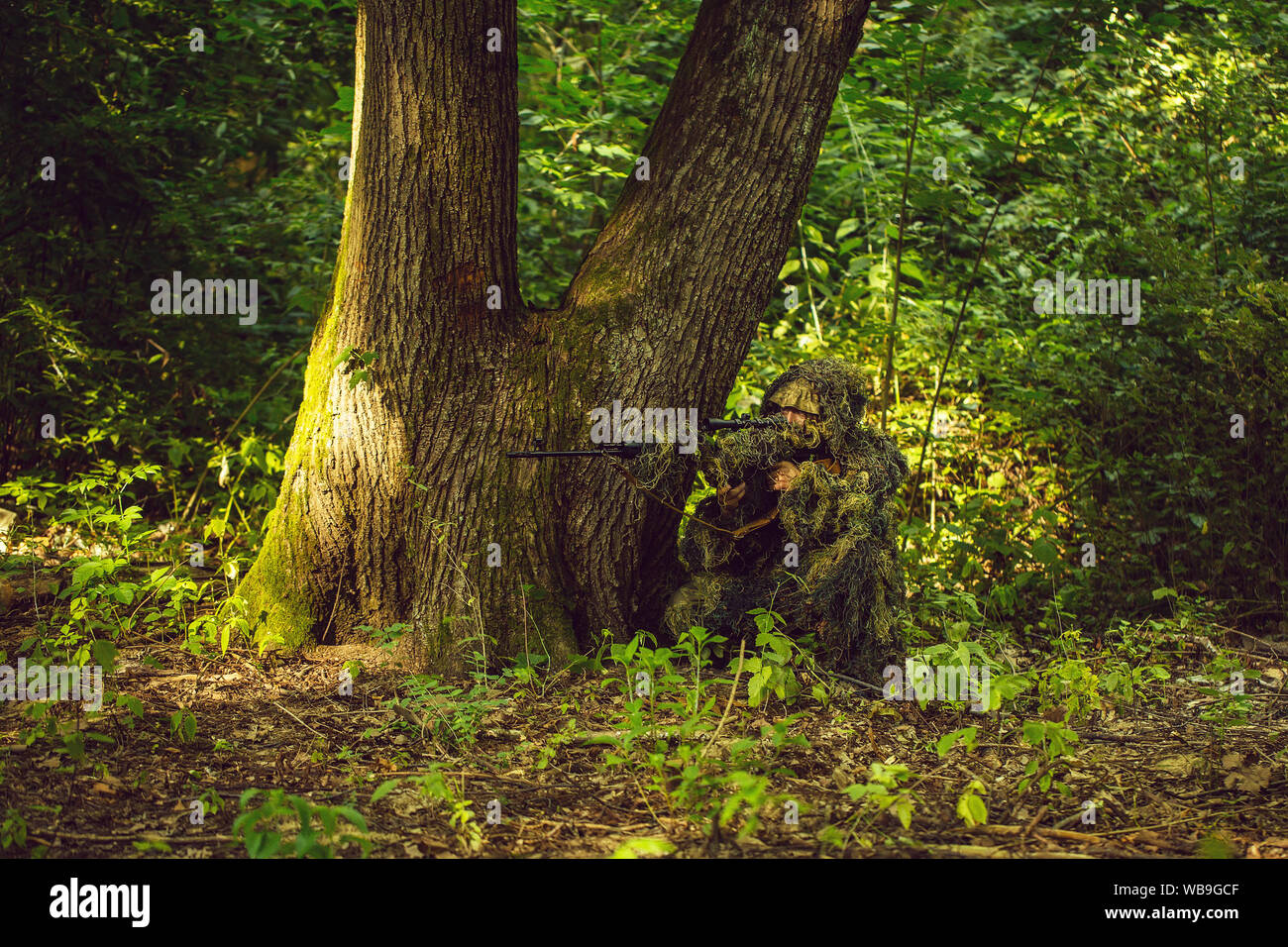 Camouflaged Sniper in the Forest Stock Image - Image of enemy