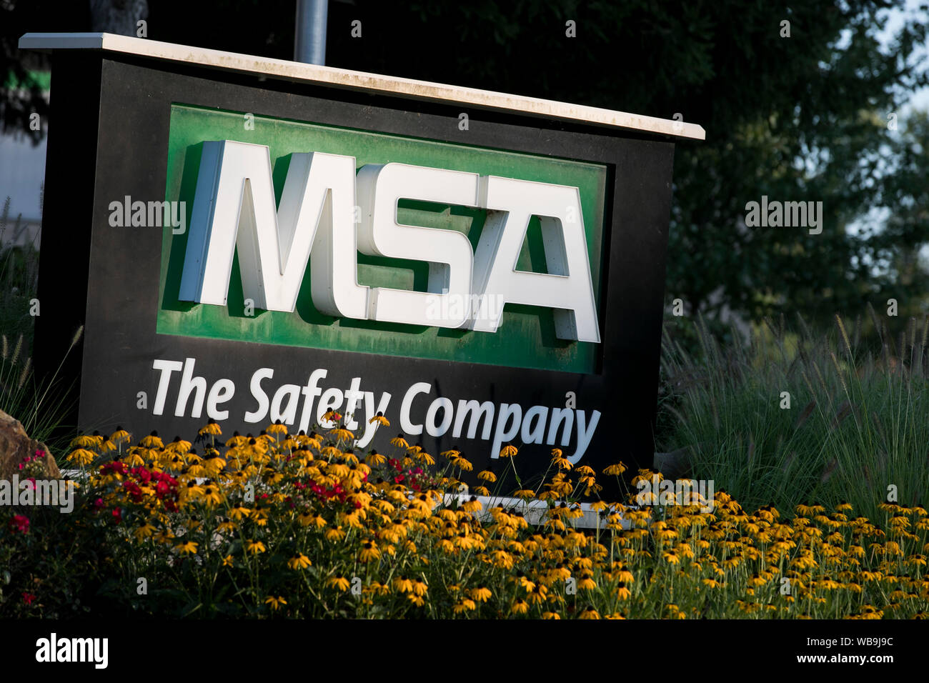 Msa logo hires stock photography and images Alamy