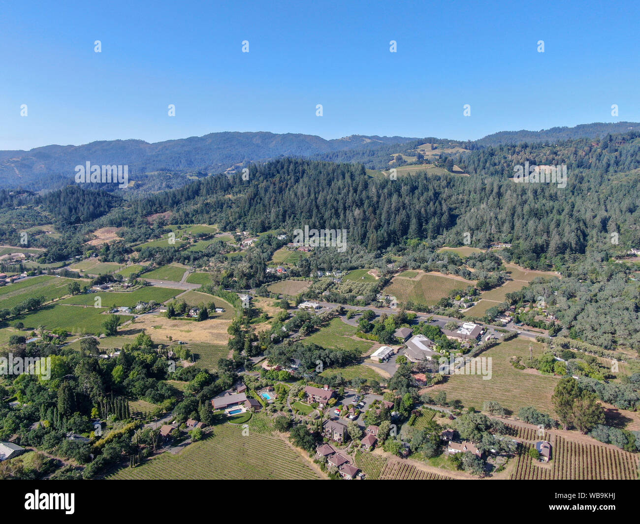 Aerial view of vineyard in Napa Valley. Napa County, in California's Wine Country. Vineyards landscape. Stock Photo
