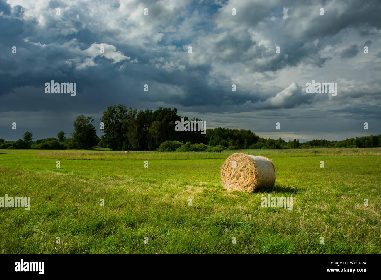 Hay bale, green meadow and dark clouds. Nowiny, Poland Stock Photo