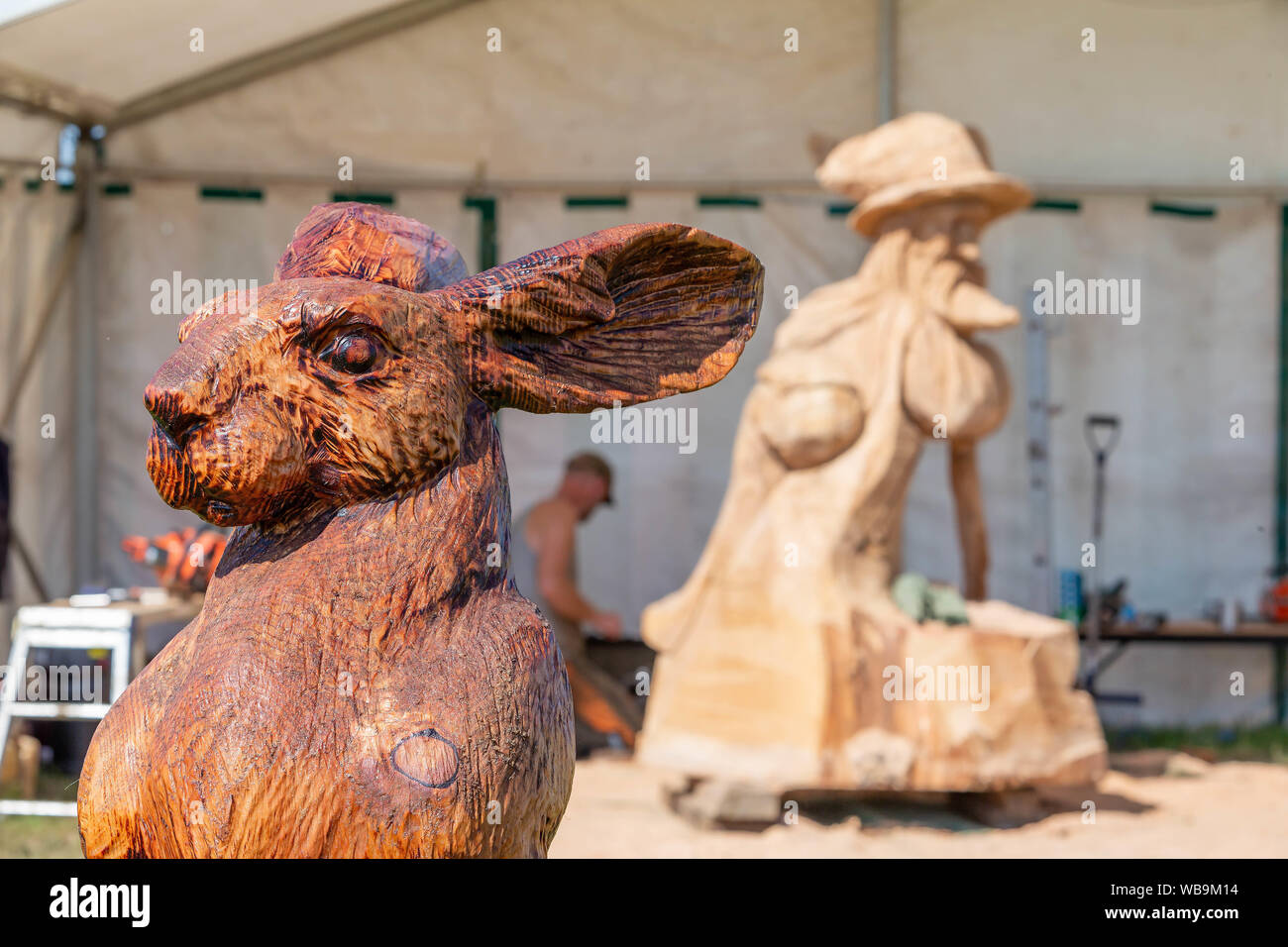 Knutsford, Cheshire, UK. 25th Aug 2019. The 15th English Open Chainsaw  Competition at the Cheshire County Showground, England - A Hare sits in  front of the marquee of Ant Beetlestone Credit: John