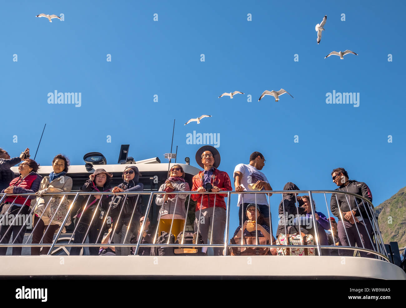 Tourists over deck on excursion ship Showline, Upper deck, Flying Mantelmöven, Fjord, Nærøyfjorden, Flåm, Bakka, Sogn og Fjordane, Norway, Scandinavia Stock Photo