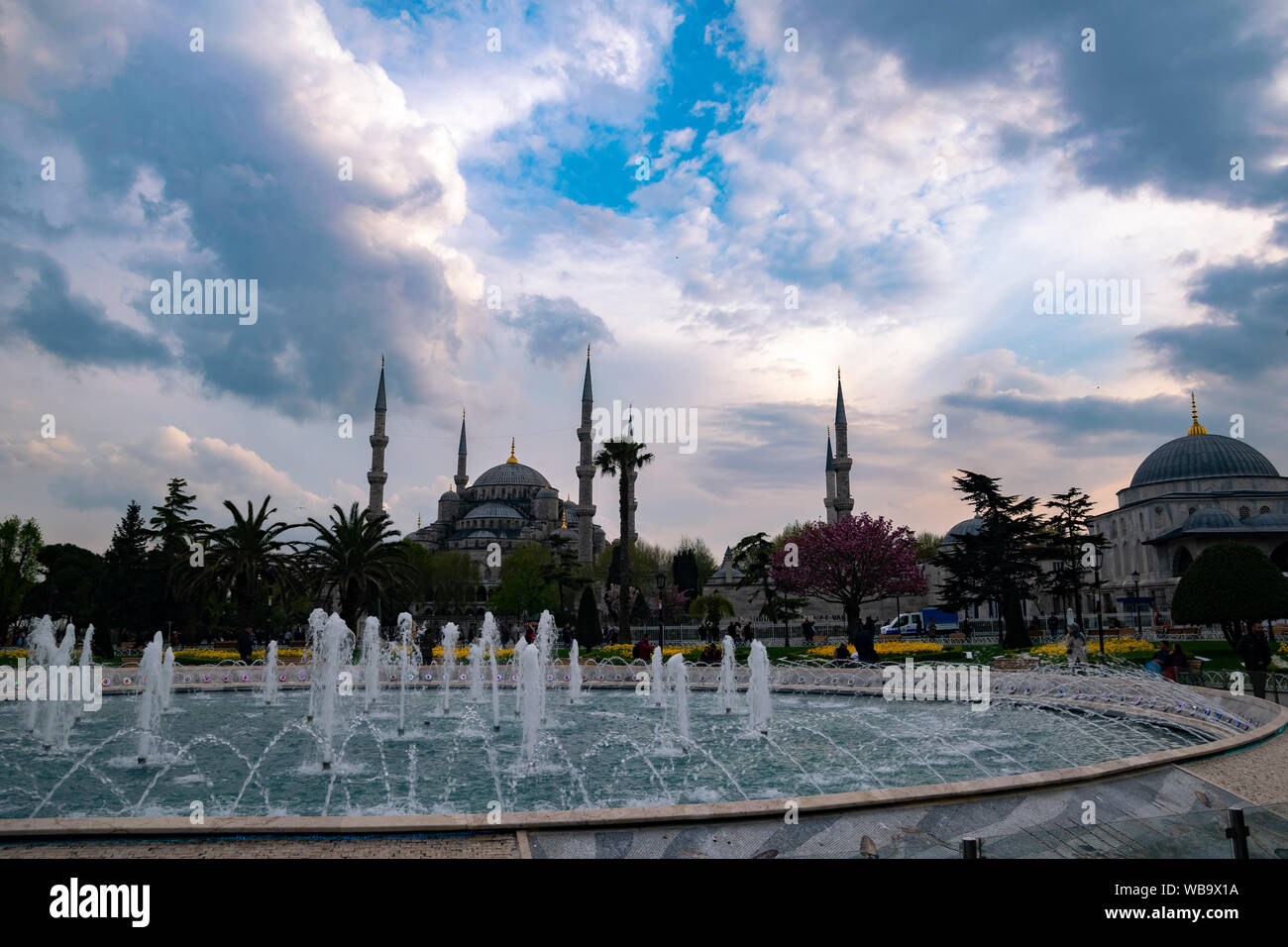 Blue Mosque in Istanbul at morning with its rain water reflection Stock ...