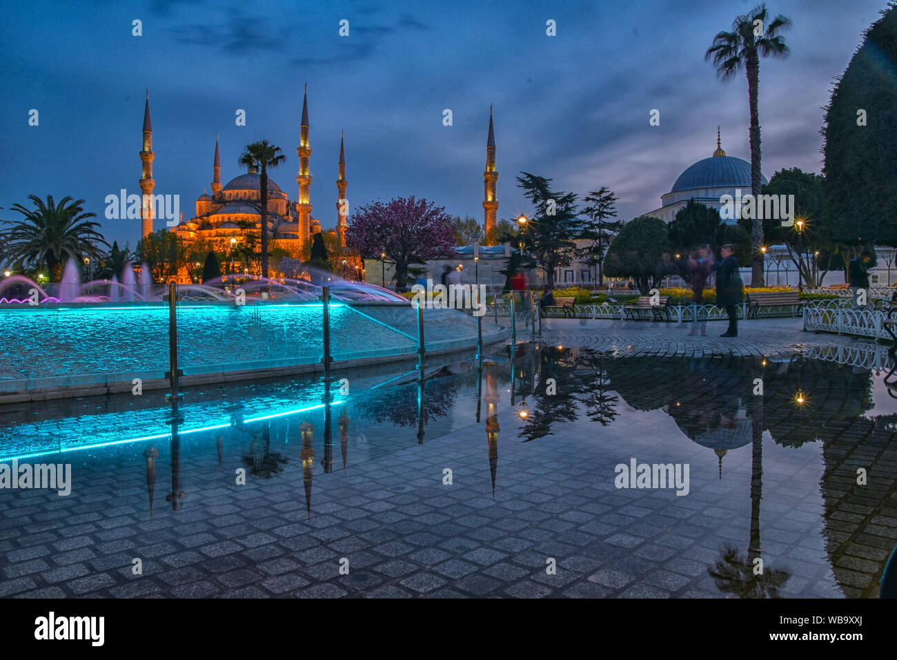 Blue Mosque in Istanbul at night with its rain water reflection Stock ...