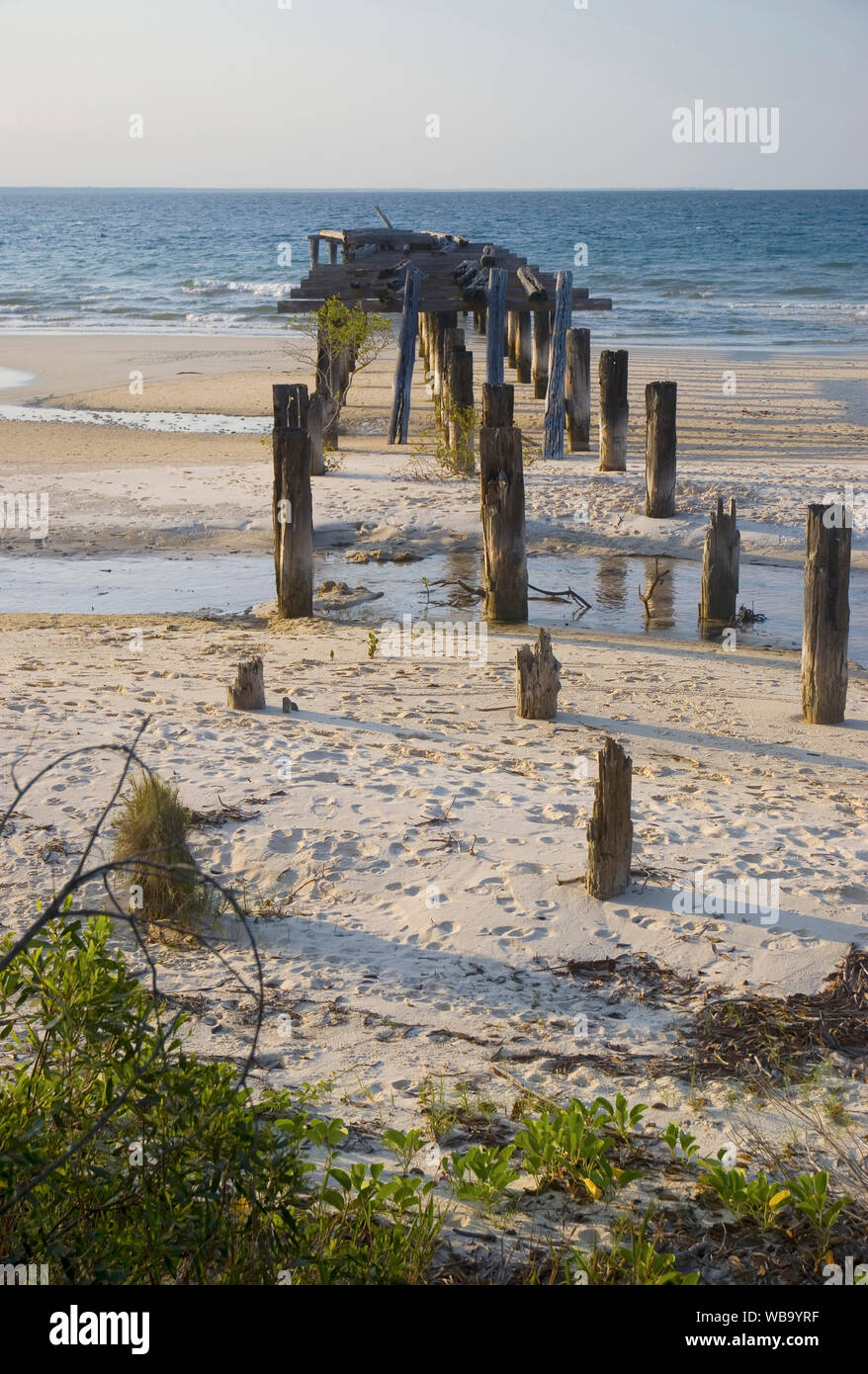 Remains of McKenzies Jetty, built in 1919, all that remains of a once busy timber centre boasting three sawmills, a tramline and a school. Fraser Isla Stock Photo