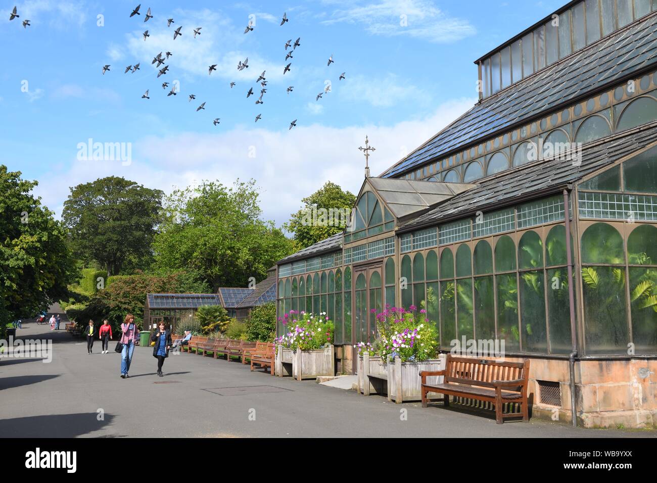 Horticultural greenhouse hires stock photography and images Alamy