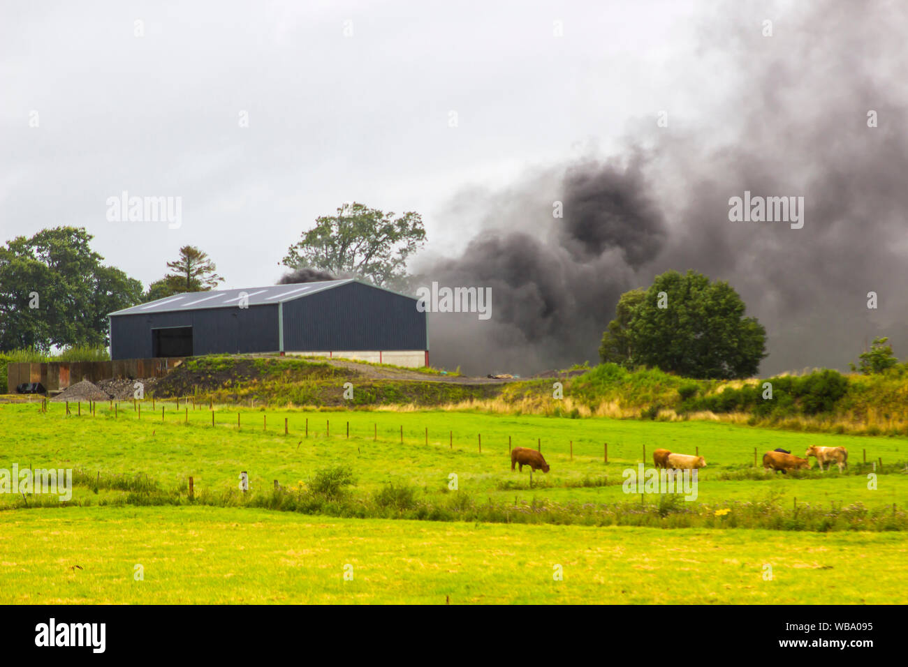 Thick black acrid smoke from a farm fire causing pollution to the environment in County Tyrone in Northern Ireland on a wet summer day. This fire was Stock Photo