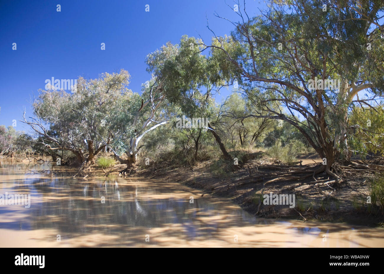Paroo River, the last remaining free-flowing river in the northern Murray-Darling Basin. The river is of cultural and spiritual significance to the tr Stock Photo