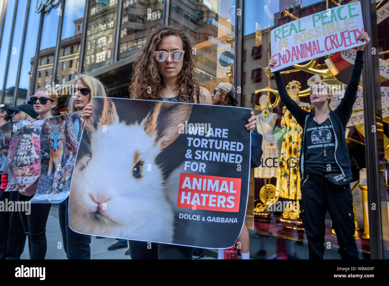 New USA. 25th Aug, 2019. Animal Liberation activists targeted luxury fashion brands DIOR, FENDI, and D&G retail stores in New York August 25, 2019 closing out the Official Animal Rights