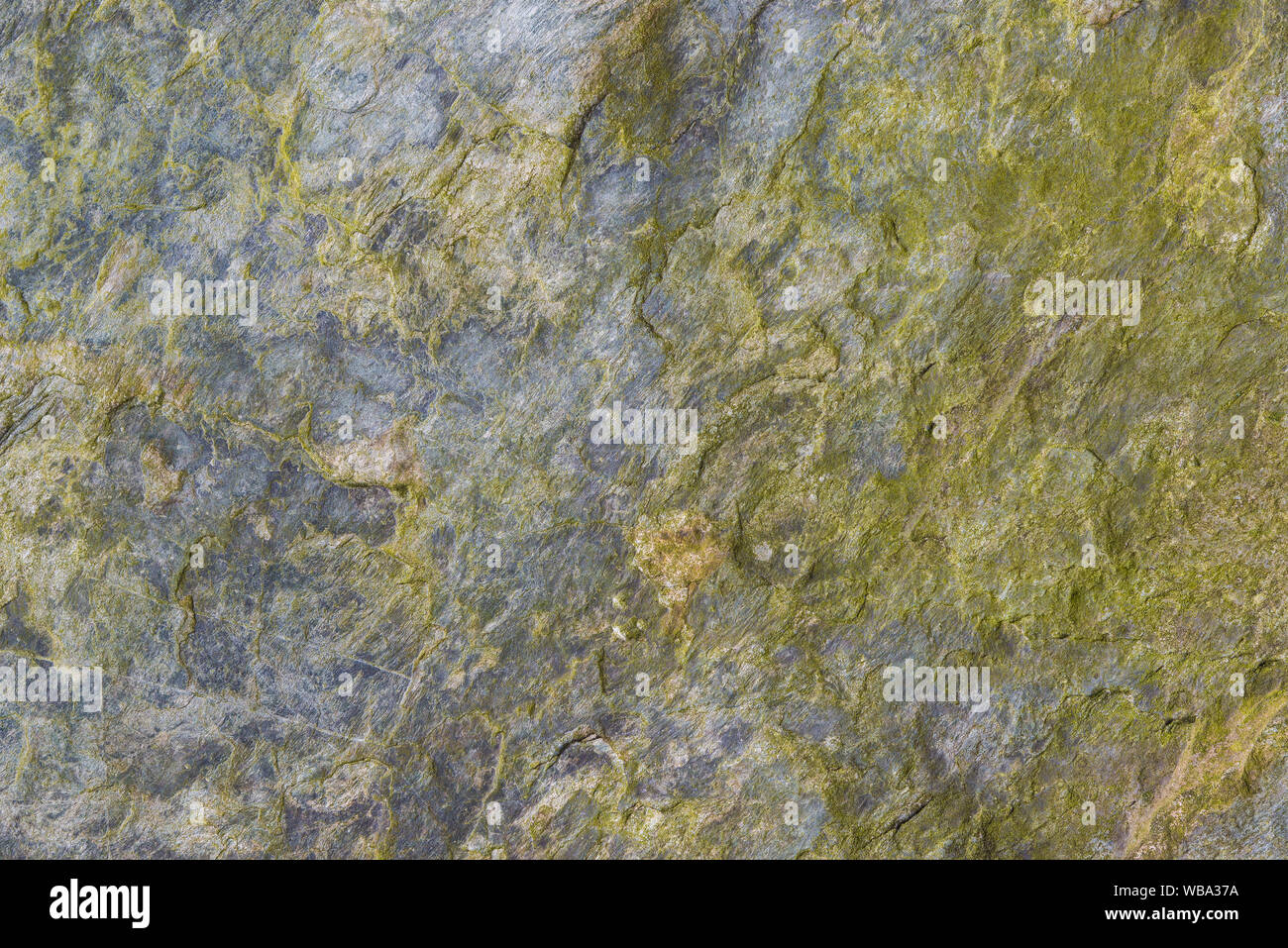 Rock with rough surface and green lichens as background Stock Photo