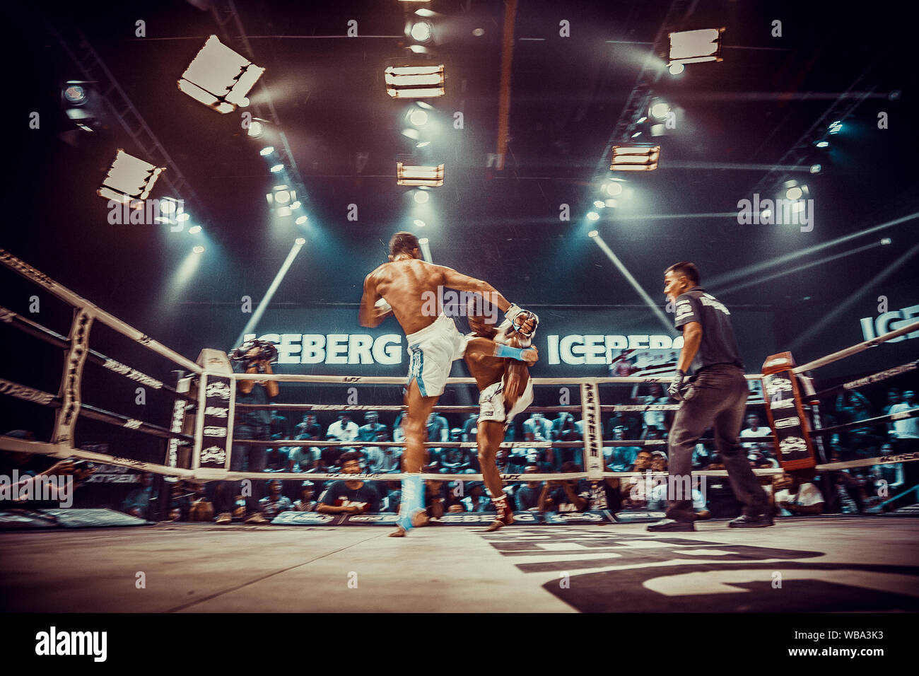 Muay thai shorts Banque de photographies et d'images à haute résolution -  Alamy