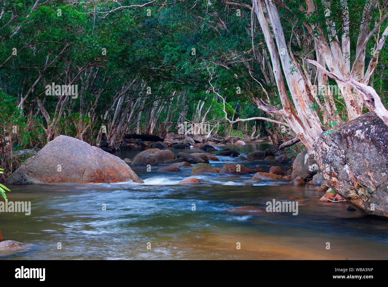 Upper Murray River, Girramay National Park, North Queensland, Australia Stock Photo