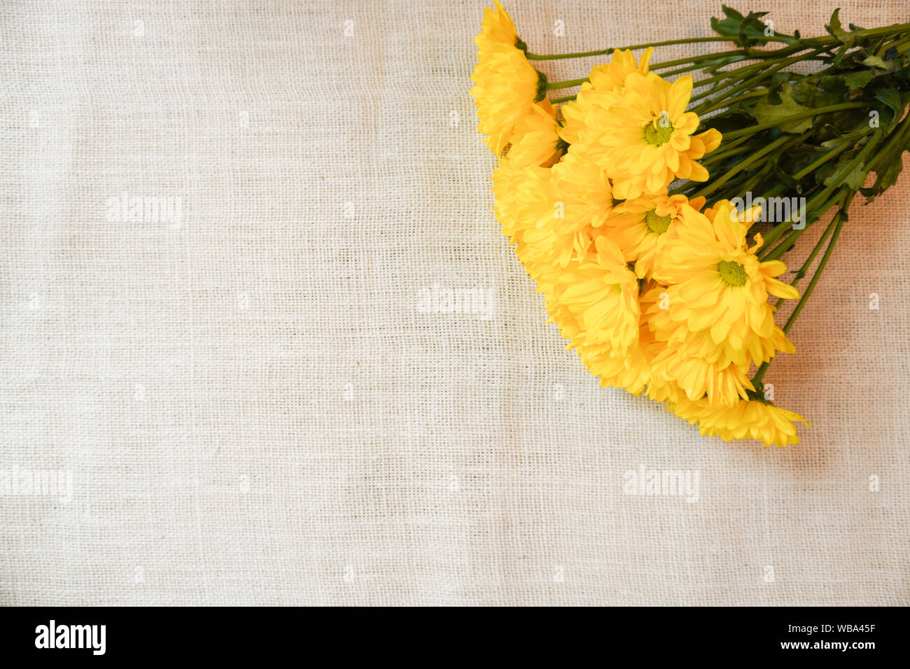 A diagonal arrangement of yellow flowers on a burlap background with copy space Stock Photo