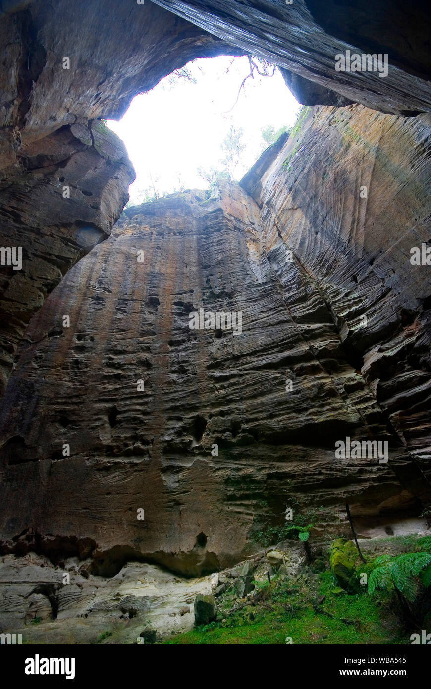 The Amphitheatre, hidden in the walls of Carnarvon Gorge;  a short walk through a narrow crack in the gorge wall leads to a 60-m deep chamber. .  Carn Stock Photo