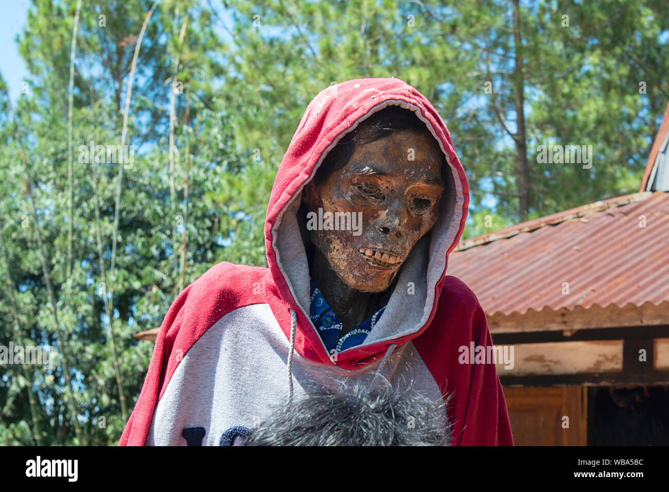 All cultures have their own art, but in Indonesia, in the province of Tana Toraja, burial rites are a bit "different" than usuald, the Ma'Nene ritual Stock Photo